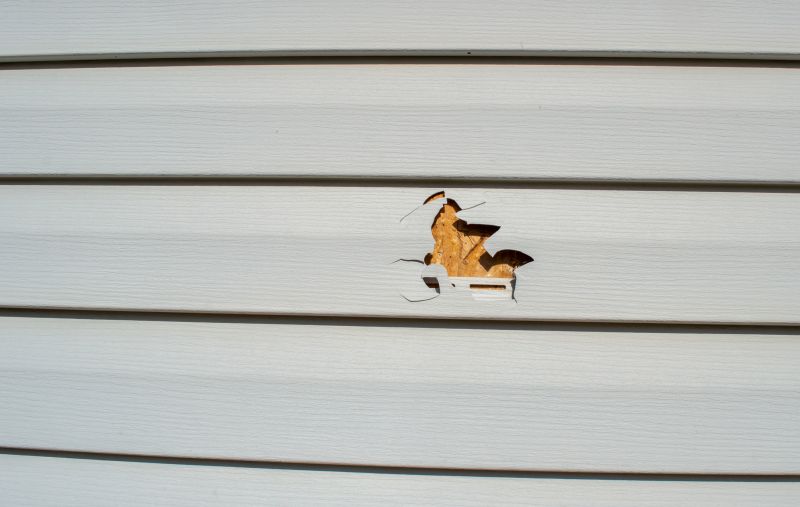 Vinyl Siding Hole Repair