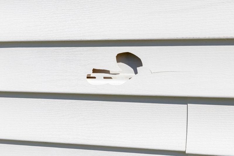 Products For Vinyl Siding Hole Repairs in use