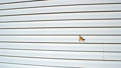 Repair Damaged Siding!