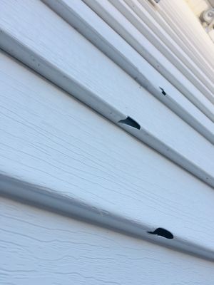 Restore the Appearance of Your Siding!